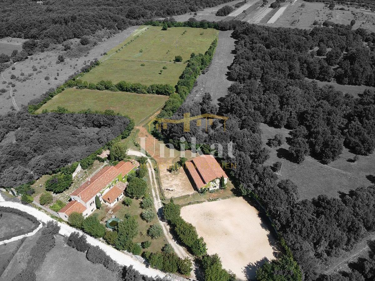 Avtentično posestvo s kamnito hišo in velikim zemljiščem